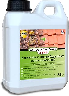 GUARD INDUSTRIE Anti Dépôt Vert Guard 2en1 Nettoyant Imperméabilisant Invisible Anti Champignon Lichen-Tous Matériaux- 1L -50m²