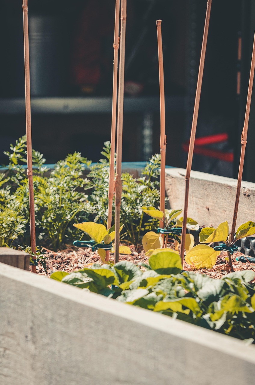 Comment créer un potager surélevé facile à entretenir ? découvrez comment créer un jardin surélevé pour cultiver facilement vos légumes et plantes, avec des conseils pratiques et des idées d'aménagement.