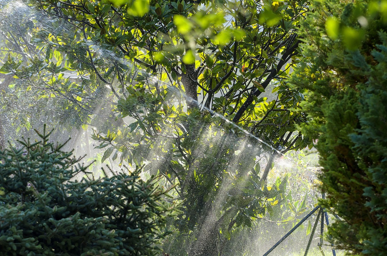 Comment installer un système d'arrosage automatique dans votre jardin ? découvrez notre système d'irrigation automatique, conçu pour optimiser l'arrosage de vos plantes et jardins tout en économisant de l'eau et du temps.