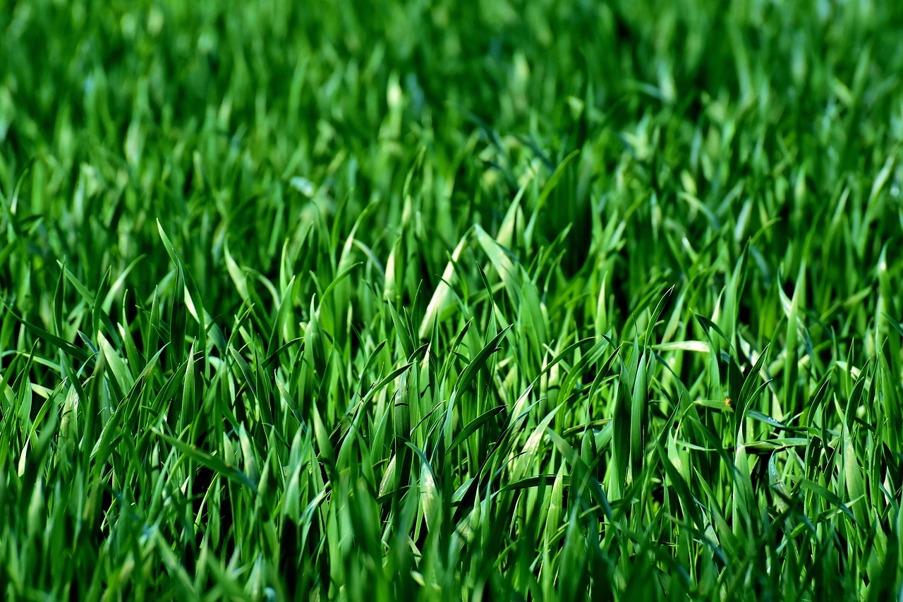 Transformez votre jardin en oasis : 10 astuces déco à réaliser soi-même